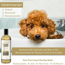 Load image into Gallery viewer, 4LEGGER OATMEAL/LAVENDER SHAMPOO 16OZ
