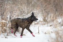 Load image into Gallery viewer, PAWSH PADS BOOTS TRIPLE EXTRA SMALL
