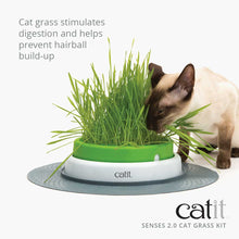 Load image into Gallery viewer, HAGEN CATIT SENSES 2.0 GRASS KIT CAT 3PK
