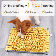 Load image into Gallery viewer, PAWZNDOGZ ANTI-BITE SNUFFLE MAT RED LARGE
