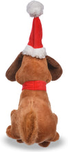 Load image into Gallery viewer, FETCH FOR PETS DR SEUSS MAX THE DOG
