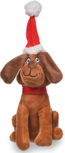 Load image into Gallery viewer, FETCH FOR PETS DR SEUSS MAX THE DOG
