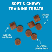 Load image into Gallery viewer, CLOUD STAR TRICKY TRAINERS CHEWY SALMON 14OZ
