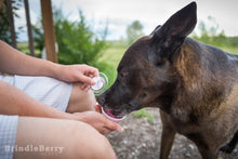 Load image into Gallery viewer, BRINDLEBERRY ACRES FROZEN DOGGIE DESSERTS PEANUT BUTTER/HONEY 3OZ
