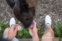 Load image into Gallery viewer, BRINDLEBERRY ACRES FROZEN DOGGIE DESSERTS PEANUT BUTTER/HONEY 3OZ
