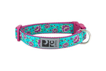 Load image into Gallery viewer, RC CLIP COLLAR SM 9&quot;-13&quot;
