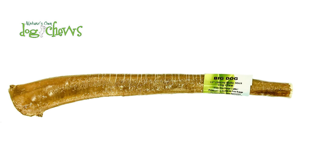 NATURE'S OWN BIG DOG BULLY STICK 12