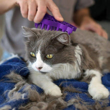 Load image into Gallery viewer, KONG ZOOM GROOM CAT BRUSH
