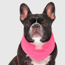 Load image into Gallery viewer, CANADA POOCH CHILL SEEKER BANDANA PINK MEDIUM
