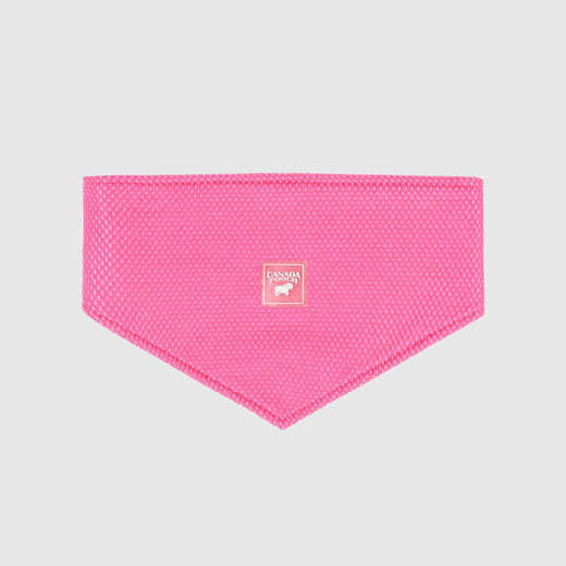 CANADA POOCH CHILL SEEKER BANDANA PINK MEDIUM