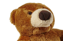 Load image into Gallery viewer, FLUFF &amp; TUFF CUBBY BEAR 5&quot;

