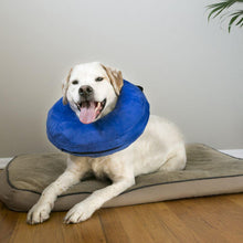 Load image into Gallery viewer, KONG CLOUD COLLAR XSM
