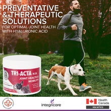 Load image into Gallery viewer, TRI-ACTA H.A DOG/CAT JOINT FORMULA MAXIMUM STRENGTH 60G
