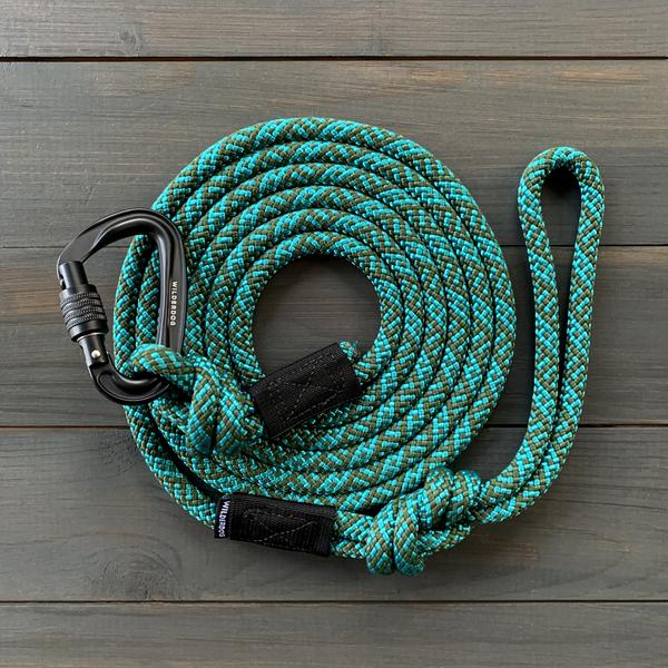 WILDERDOG LEASH LARGE CARABINER CASCADE 10'
