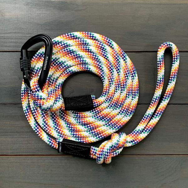 WILDERDOG LEASH LARGE CARABINER RAINBOW 5'