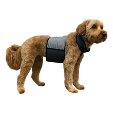 Load image into Gallery viewer, COOLER DOG COOLING VEST+COLLAR GREY MEDIUM
