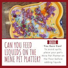 Load image into Gallery viewer, MINE PET PLATTER BONE LG
