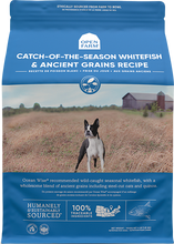 Load image into Gallery viewer, OPEN FARM WHITEFISH/ANCIENT GRAIN 11LB
