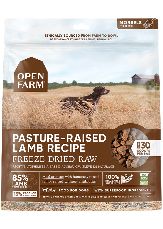 OPEN FARM FREEZE DRIED LAMB 13.5OZ