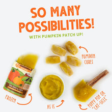 Load image into Gallery viewer, WERUVA PUMPKIN PATCH UP PUREED PUMPKIN POUCH 2.8OZ
