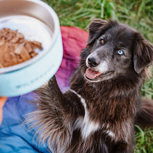 Load image into Gallery viewer, WILDERDOG DOG BOWL STAINLESS STEEL PACIFIC BLUE 32OZ
