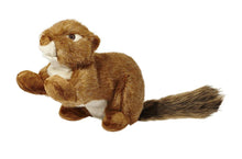 Load image into Gallery viewer, FLUFF &amp; TUFF RED SQUIRREL NO SQUEAK 12&quot;

