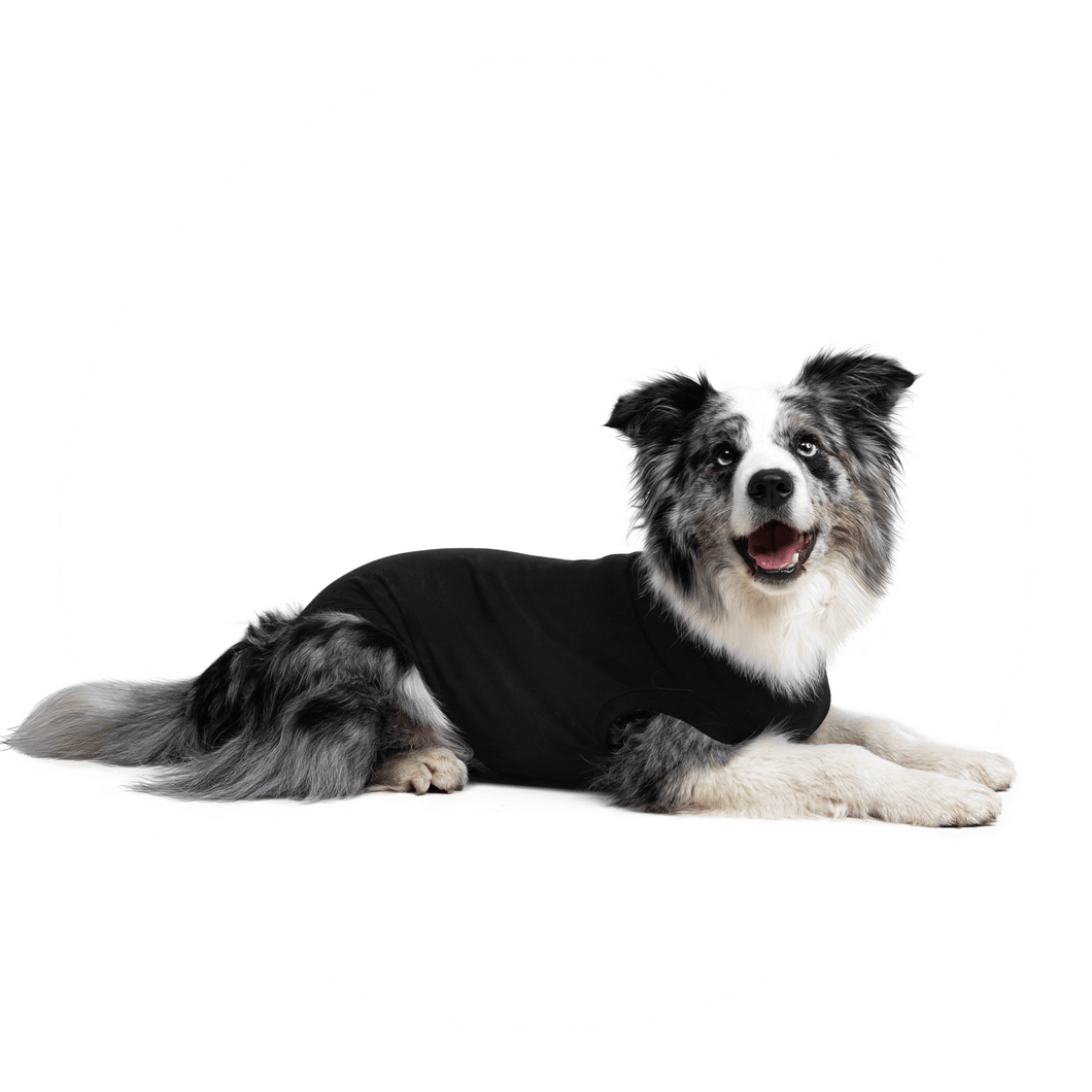 SUITICAL RECOVERY SUIT DOG BLACK SM