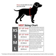 Load image into Gallery viewer, COOLER DOG COOLING VEST+COLLAR GREY SMALL
