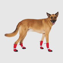Load image into Gallery viewer, CANADA POOCH SOFT SHIELD BOOTS RED SIZE 2
