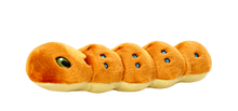 Load image into Gallery viewer, FLUFF &amp; TUFF SPICY CATERPILLAR 11&quot;
