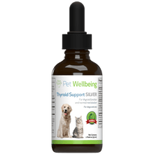 Load image into Gallery viewer, PET WELLBEING URINARY GOLD 2OZ

