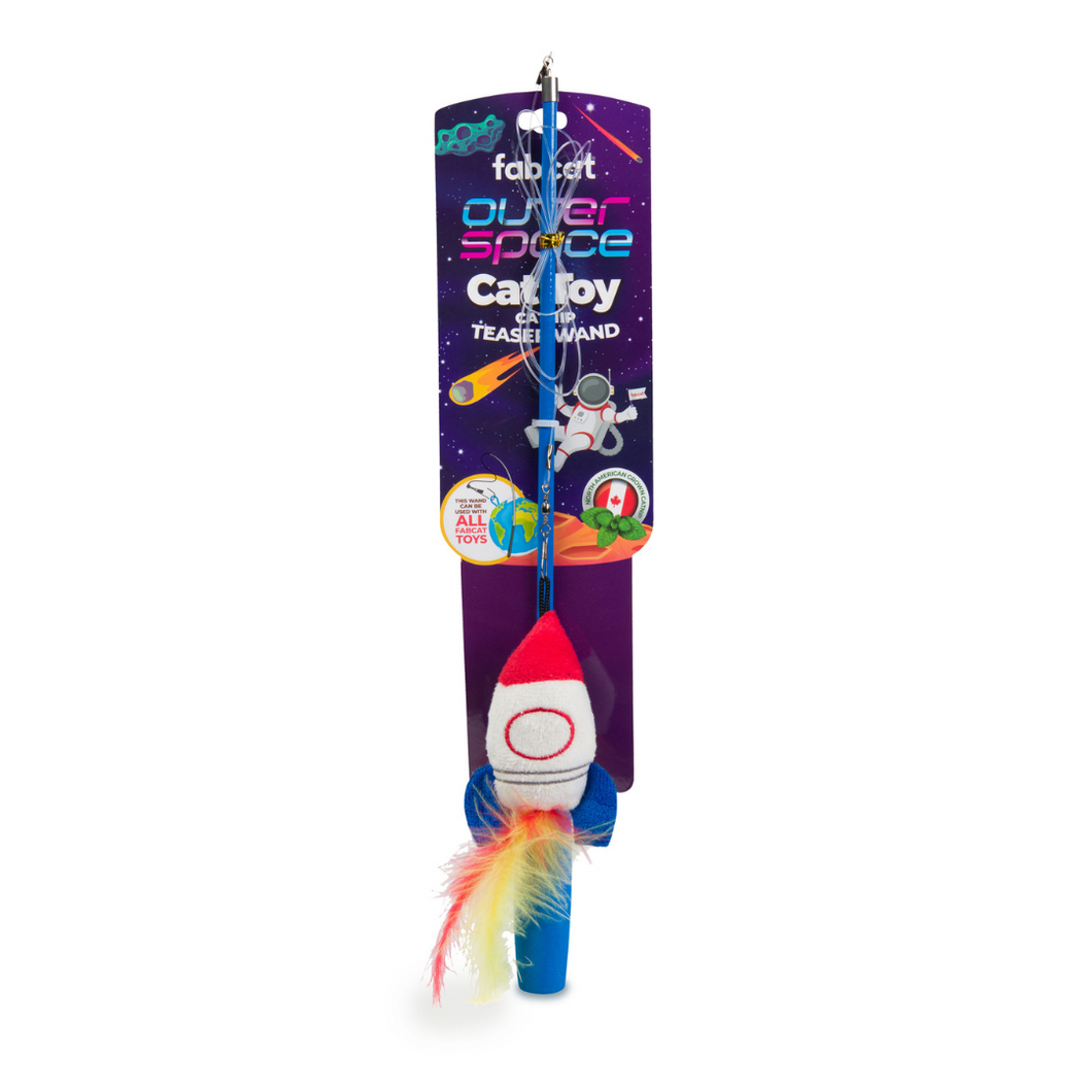 FAB DOG OUTER SPACE TEASER CAT