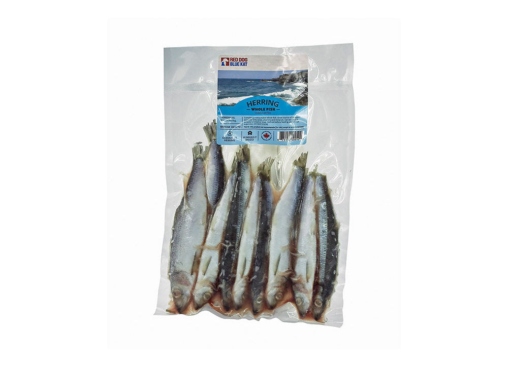 RED DOG BLUE KAT HERRING WHOLE 1LB