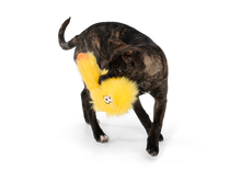 Load image into Gallery viewer, WEST PAW ROWDIES WILSON
