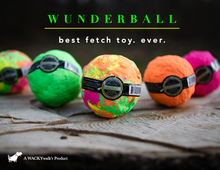 Load image into Gallery viewer, WUNDERBALL DOG BALL SMALL
