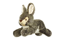 Load image into Gallery viewer, FLUFF &amp; TUFF WALTER WABBIT 12&quot;
