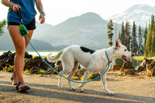 Load image into Gallery viewer, RUFFWEAR JUST A CINCH LEASH
