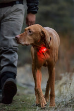 Load image into Gallery viewer, RUFFWEAR THE BEACON
