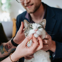 Load image into Gallery viewer, KIDNEY-CHEK FOR CATS 1 PACK

