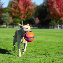 Load image into Gallery viewer, CHUCK IT KICK FETCH SMALL
