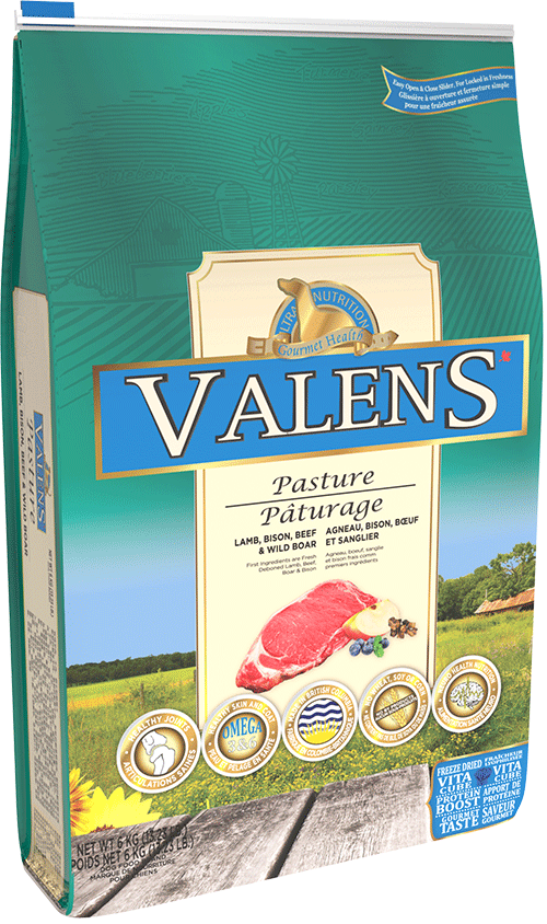 VALENS DOG LAMB/BEEF/BISON/BOAR 25LB