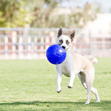 Load image into Gallery viewer, JOLLY PETS SOCCER BALL GREEN 8"

