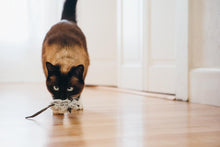 Load image into Gallery viewer, PLAY FELINE FRENZY MICE 2PK
