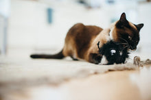 Load image into Gallery viewer, PLAY FELINE FRENZY FRISKY FURBALL
