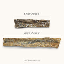 Load image into Gallery viewer, HONEST KITCHEN OCEAN CHEWS CODFISH SKIN 2.75OZ
