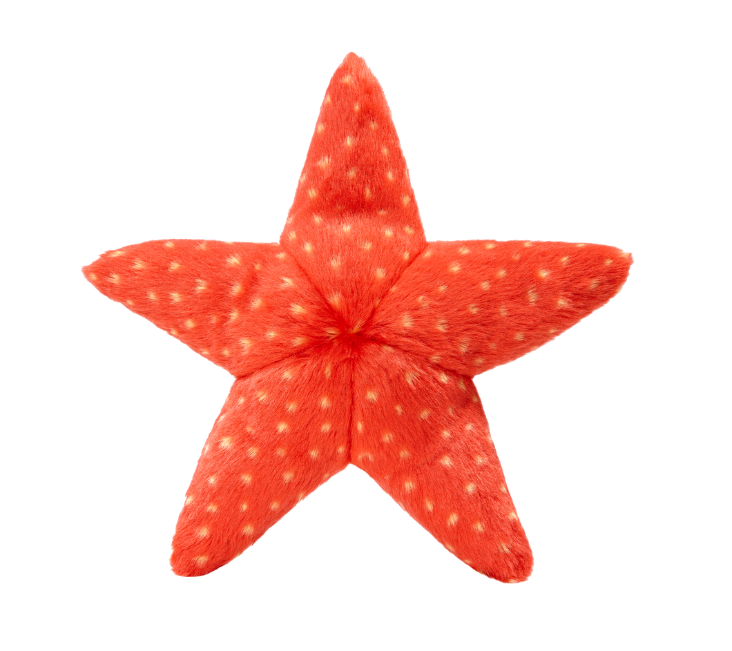 FLUFF & TUFF ZIGGY STARFISH 12