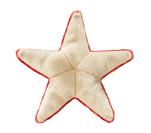 Load image into Gallery viewer, FLUFF &amp; TUFF ZIGGY STARFISH 12&quot;
